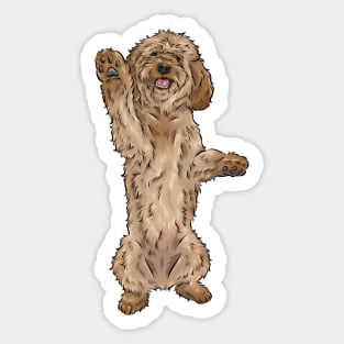 Cute Apricot Cockapoo Dog Sticker